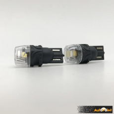 Диодни крушки 28900- 12V 2бр/к-т